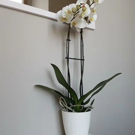 Casa Bruna Вербания